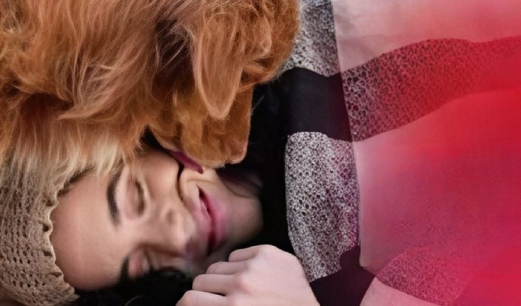 Homeless woman petting stray dog that leads to millionaire connection