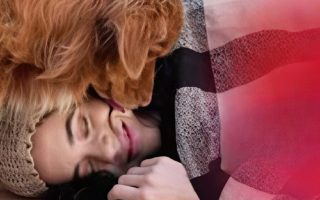 Homeless woman petting stray dog that leads to millionaire connection