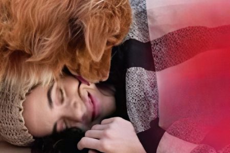 Homeless woman petting stray dog that leads to millionaire connection